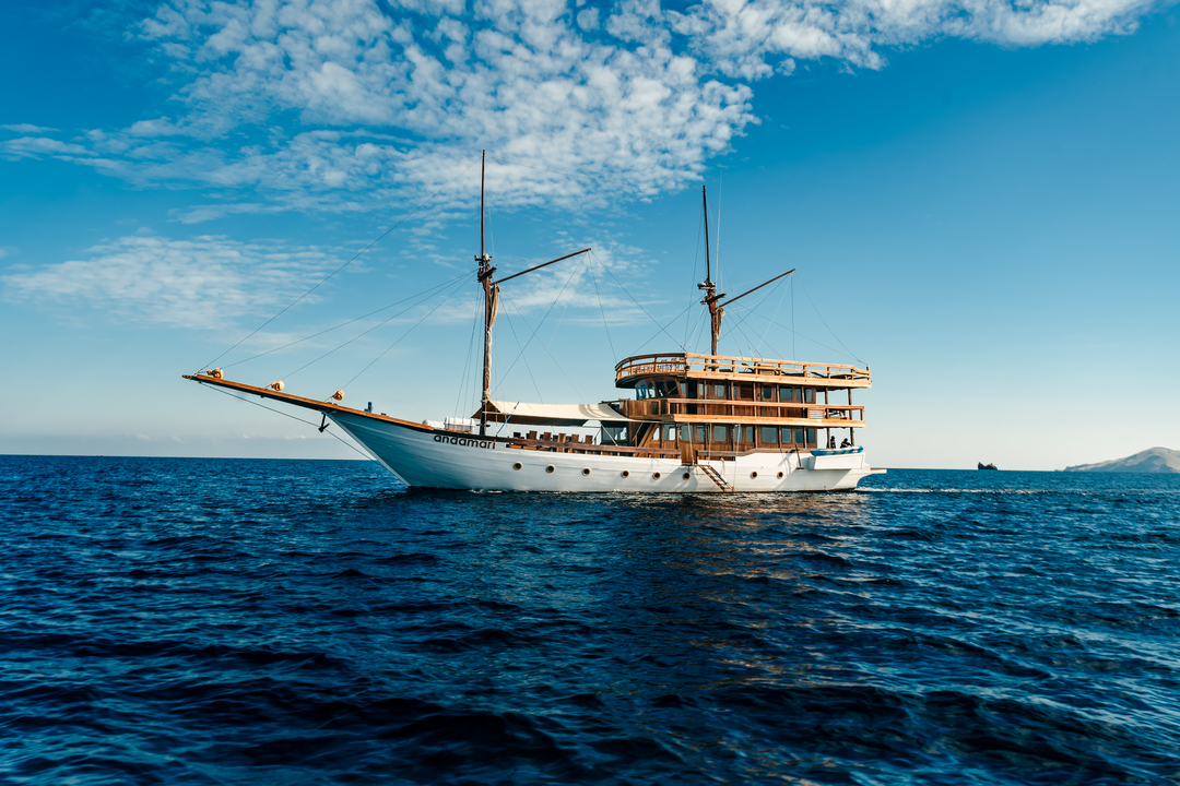 Private trip by Andamari Deluxe Phinisi - Komodo Boat Charter