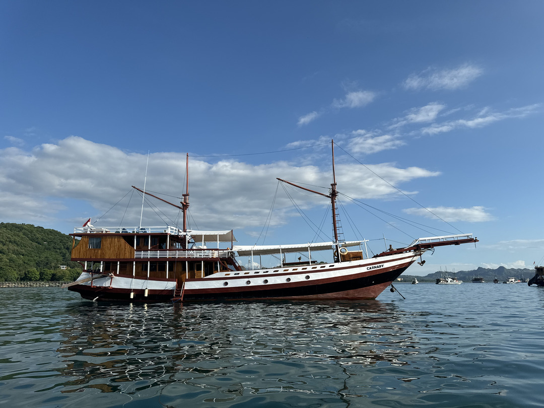 Private Trip by Carnaby Luxury Phinisi - Komodo Boat Charter