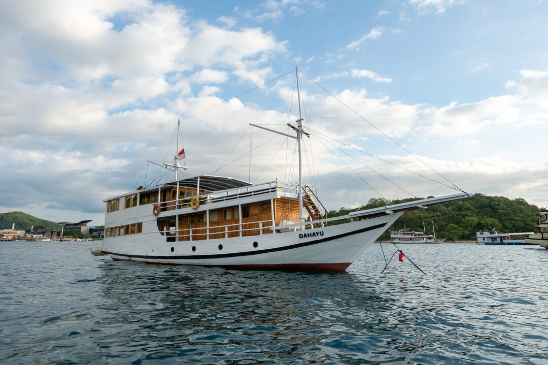 Open Trip 2D1N by Dahayu Deluxe Phinisi - Komodo Sharing Tours