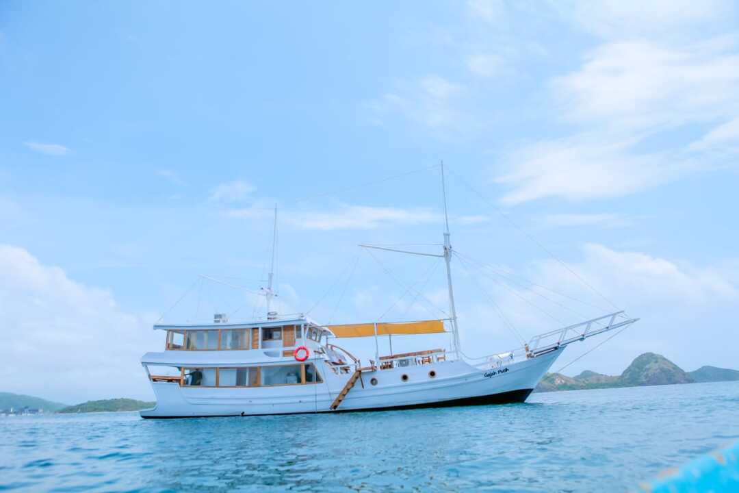 Open Trip 3D2N by Gajah Putih Deluxe Phinisi - Komodo Sharing Tours