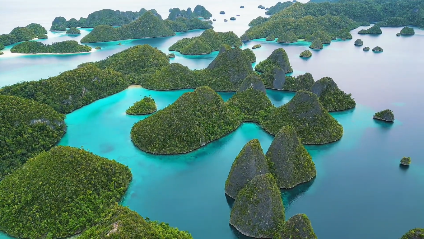 Open Trips 4D3N Raja Ampat - Papua Adventures