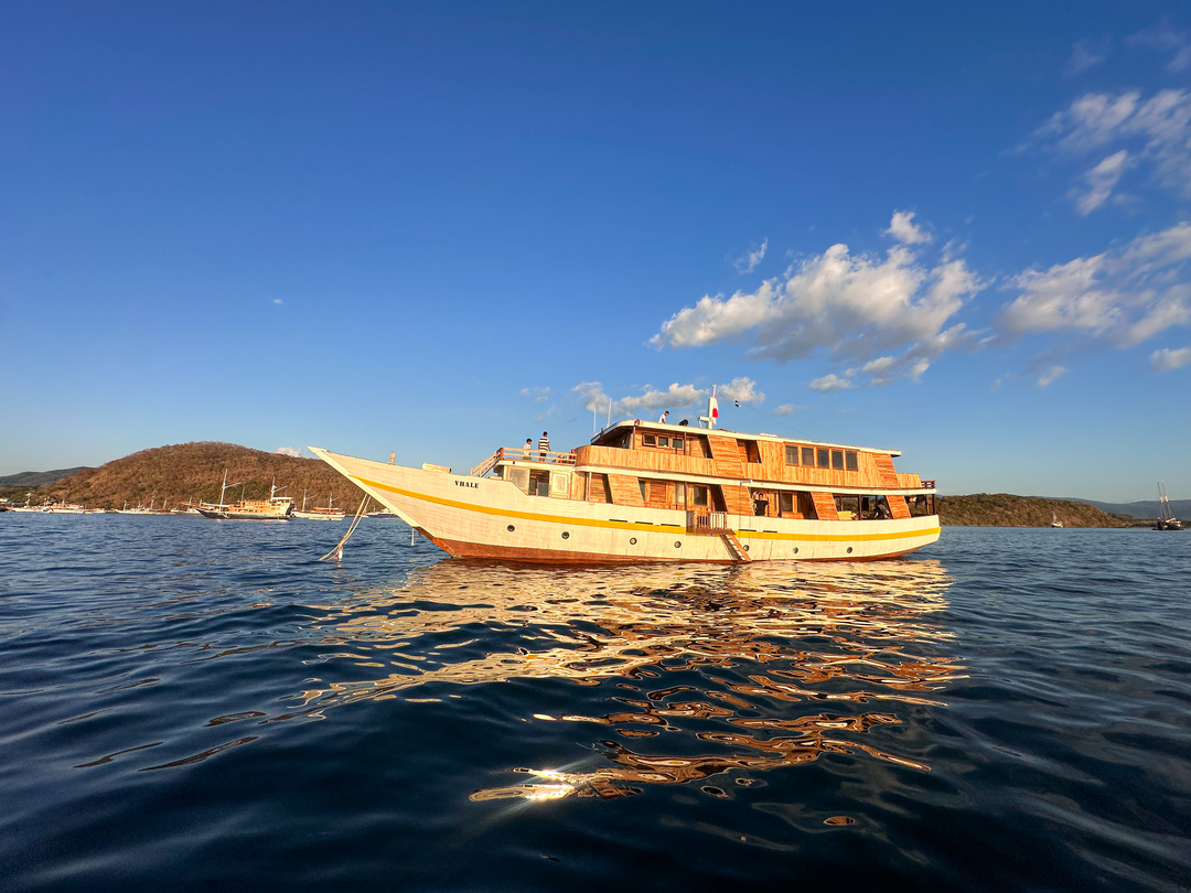 Open Trip Weekdays by Vhale Deluxe Phinisi - Komodo Sharing Tours