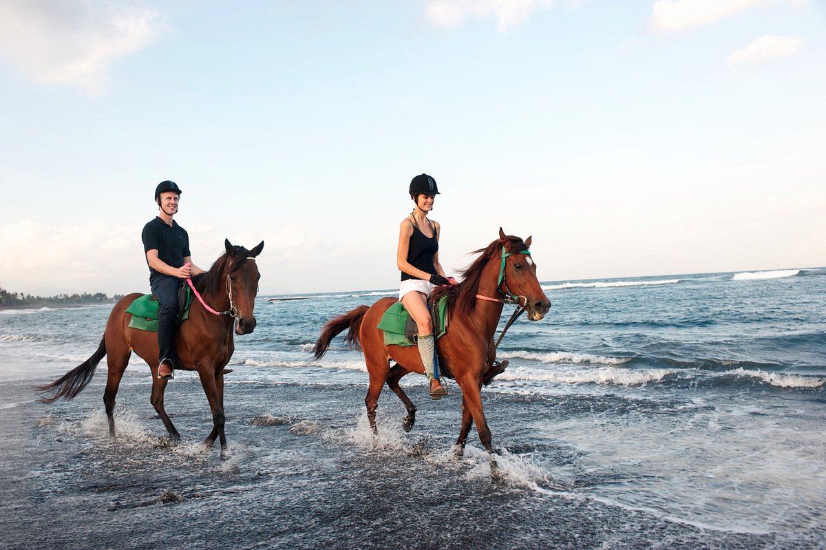 Saba Horse Riding - Bali Horse Riding