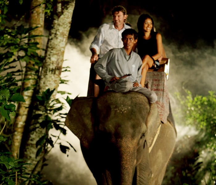 Night Safari Packages by Mason Elephant Park - Bali Elephant Riding