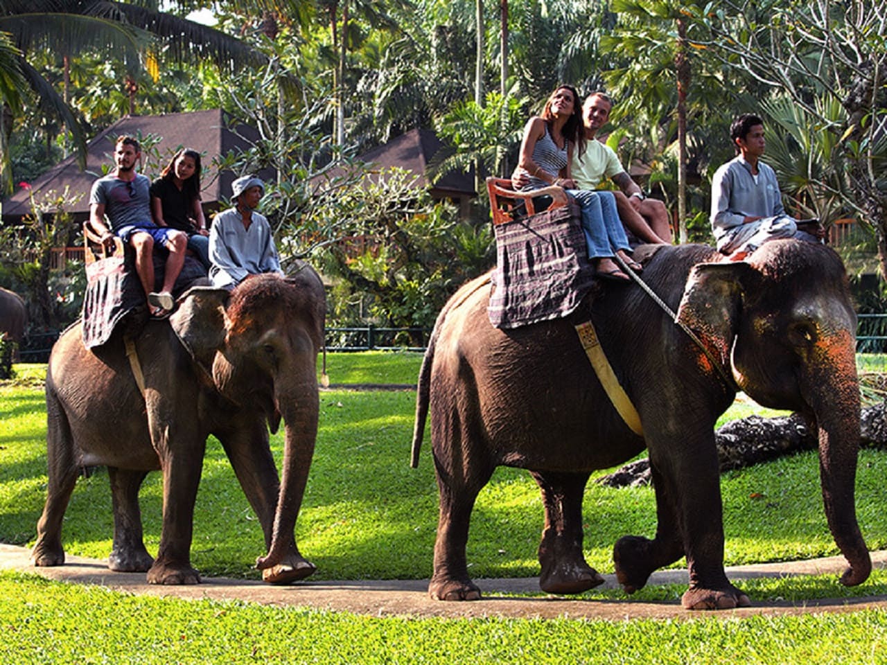 Elephant Safari Ride Packages by Mason Elephant Park - Bali Elephant Riding