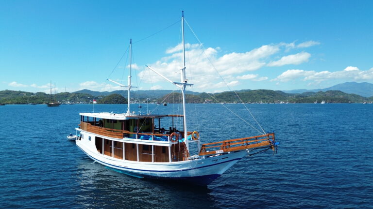  Open Trip 2D1N by Nemmo Deluxe Phinisi - Komodo Sharing Tours