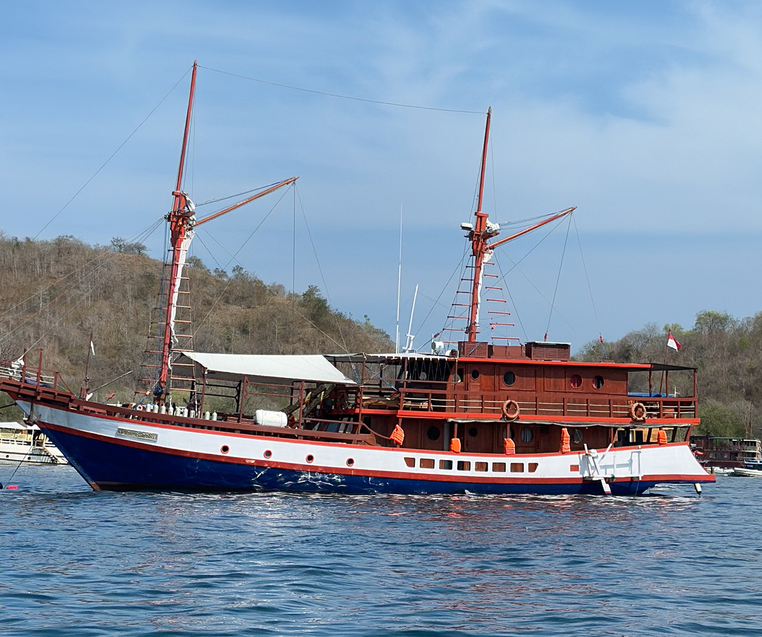 Private trip by Radea 2 Luxury Phinisi - Komodo Boat Charter